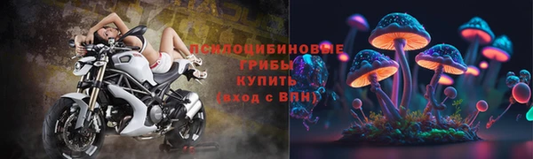 a pvp Алзамай