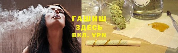 МДПВ Пересвет