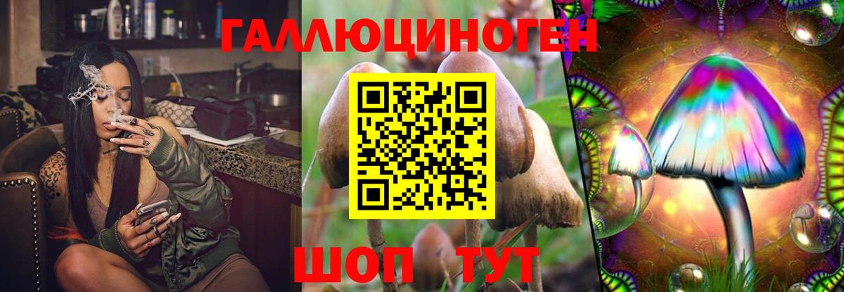 Когалым  Псилоцибиновые грибы прущие грибы  Вход с VPN 